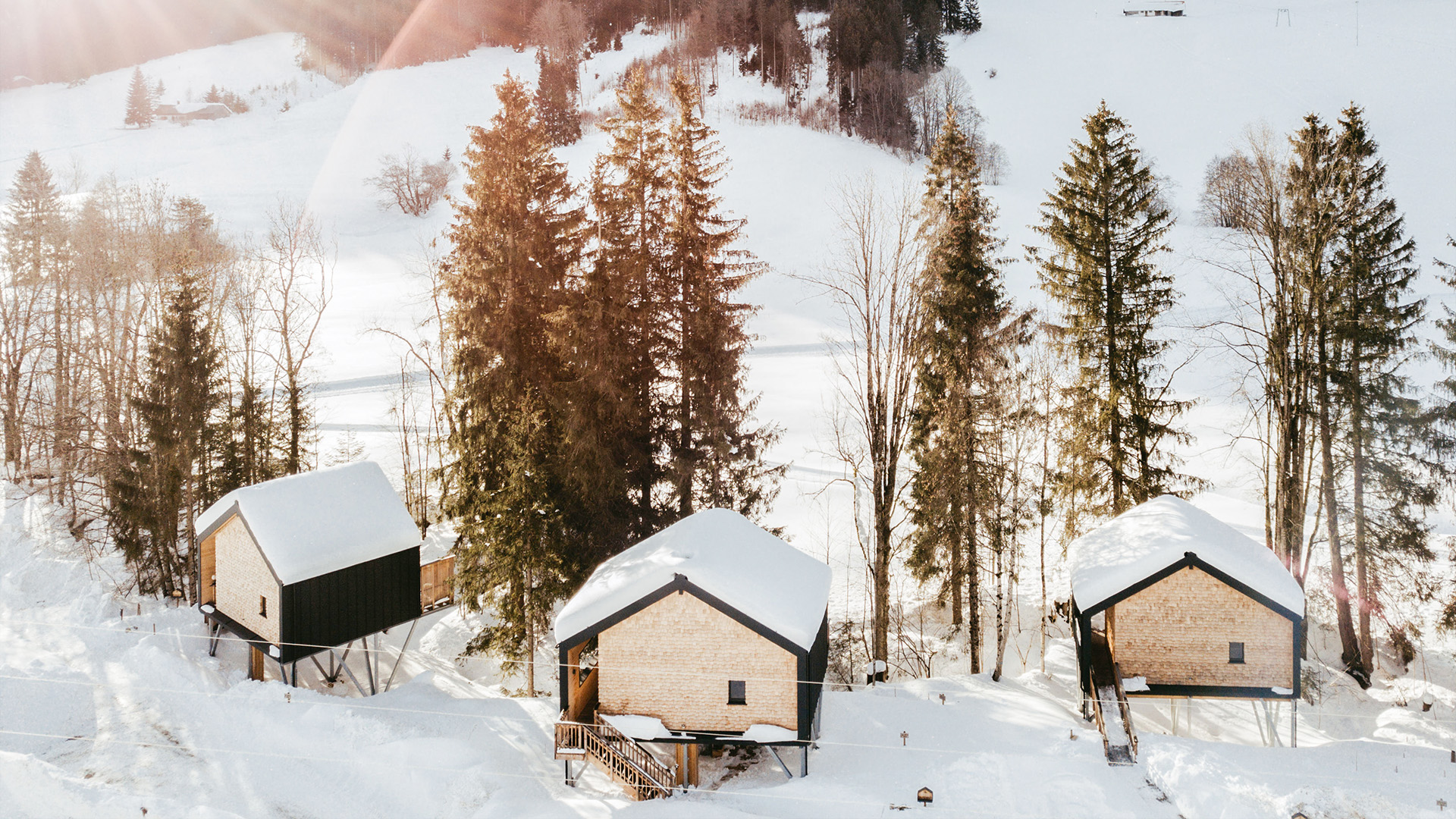 2 Tag(e) Romantikurlaub im Baumhaus Chalet für 2 (1 Nacht) inkl. Halbpension Unkategorisiert online kaufen 2 Tag(e) Romantikurlaub im Baumhaus Chalet für 2 (1 Nacht) inkl. Halbpension Unkategorisiert online kaufen