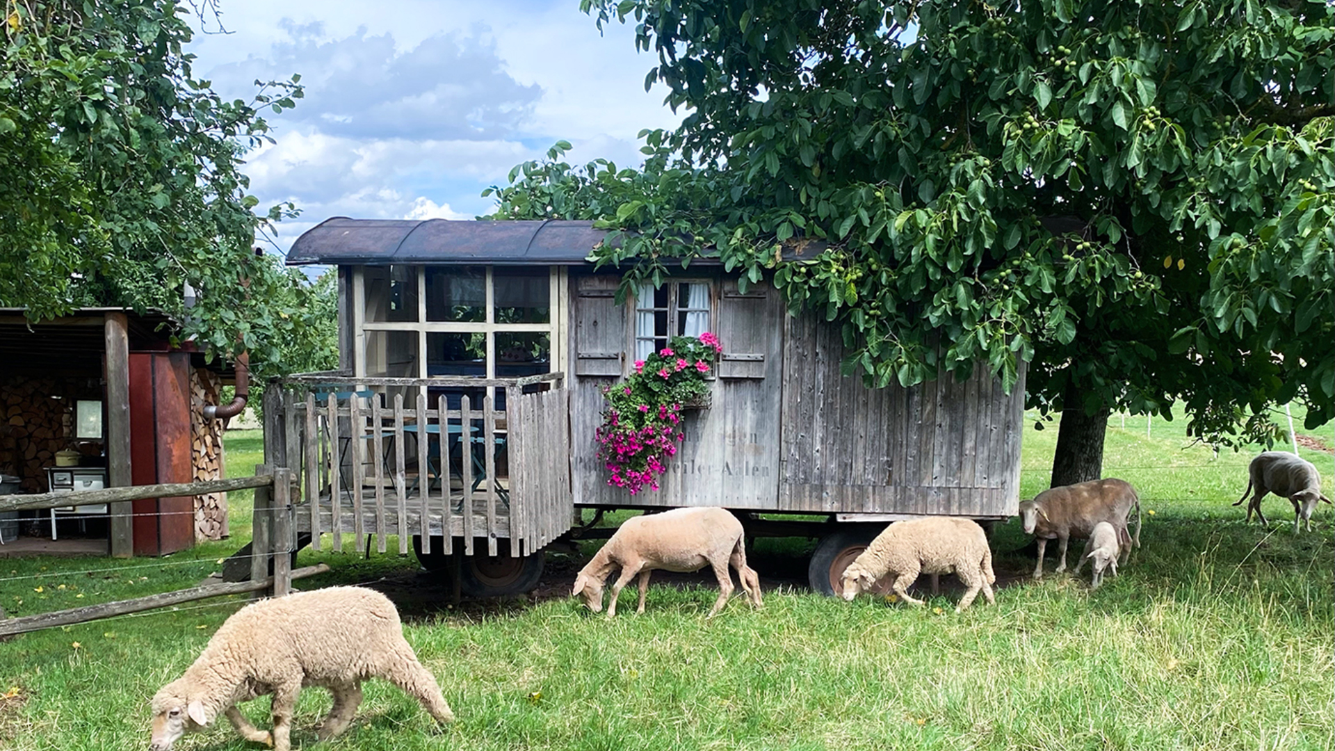 3 Tag(e) Familienurlaub im Bienenwagen (2 Nächte) Unkategorisiert online kaufen 3 Tag(e) Familienurlaub im Bienenwagen (2 Nächte) Unkategorisiert online kaufen