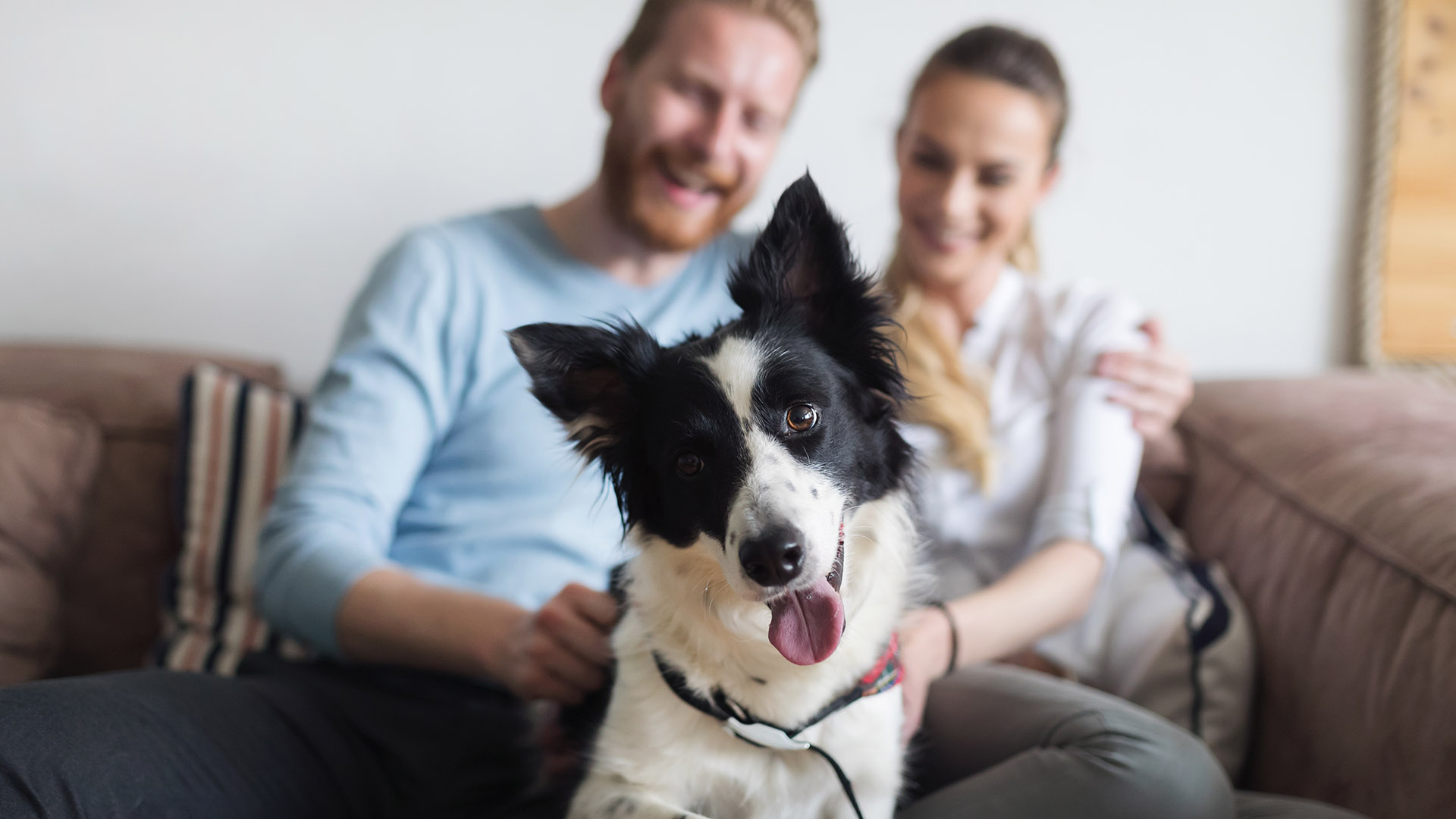 3 Tag(e) Urlaub in einer Ferienwohnung mit Hund für 2 (2 Nächte) - St. Oswald inkl. Frühstück Unkategorisiert online kaufen
