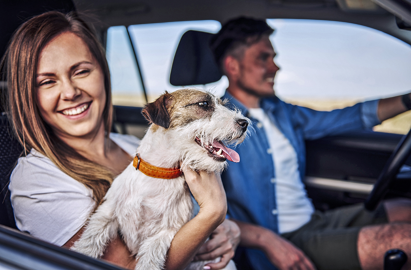3 Tag(e) Urlaub mit Hund Alpbachtal für 2 (2 Nächte) inkl. Halbpension Unkategorisiert online kaufen