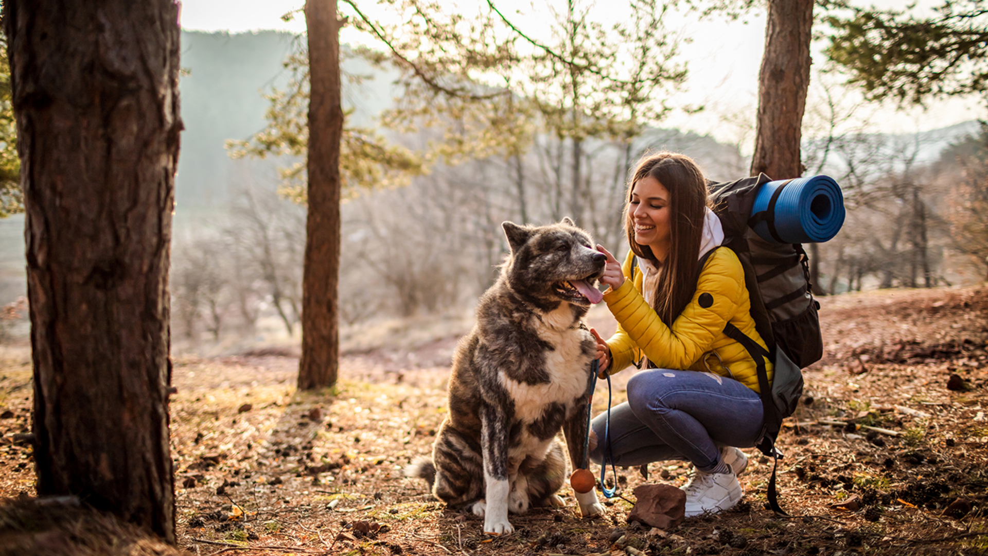 3 Tag(e) Urlaub mit Hund im Harz für 2 (2 Nächte) inkl. Frühstück Unkategorisiert online kaufen