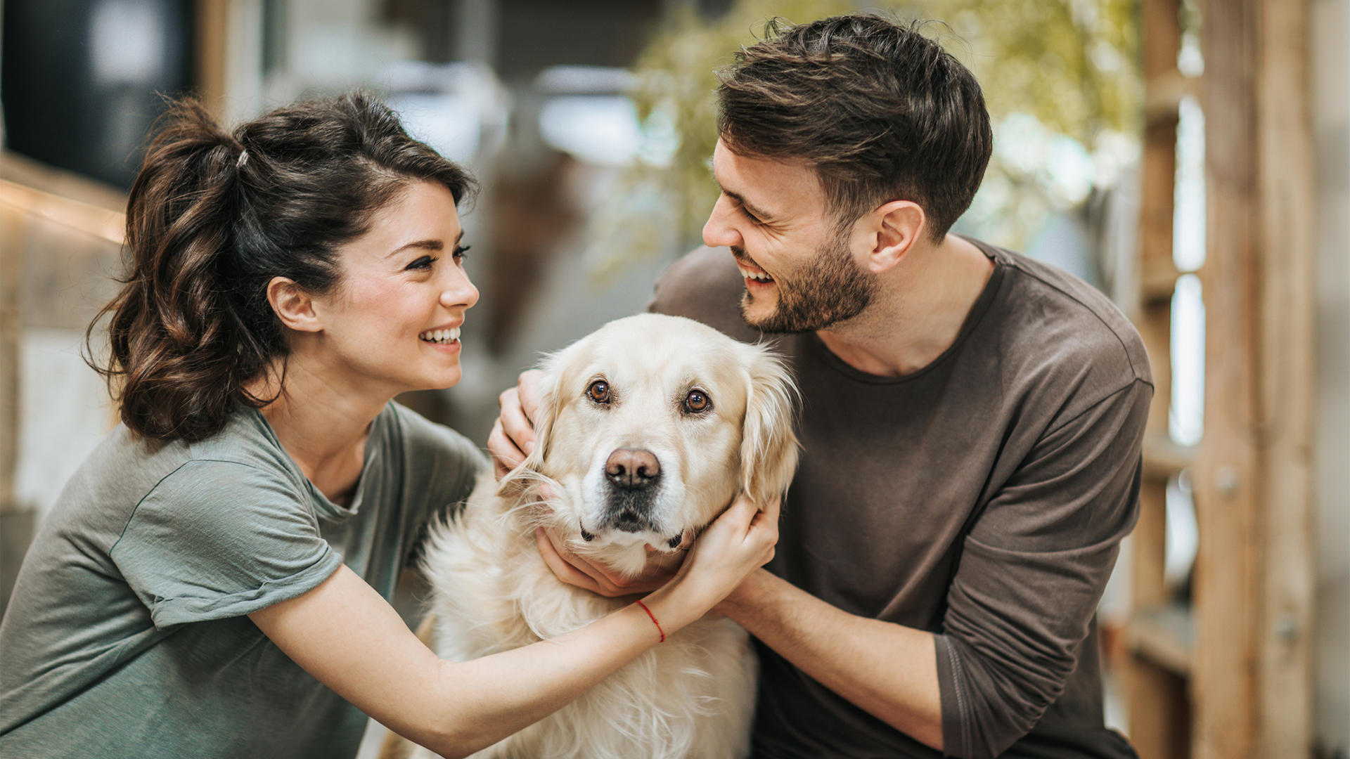 3 Tag(e) Urlaub mit Hund Lindberg für 2 (2 Nächte) inkl. Frühstück Unkategorisiert online kaufen