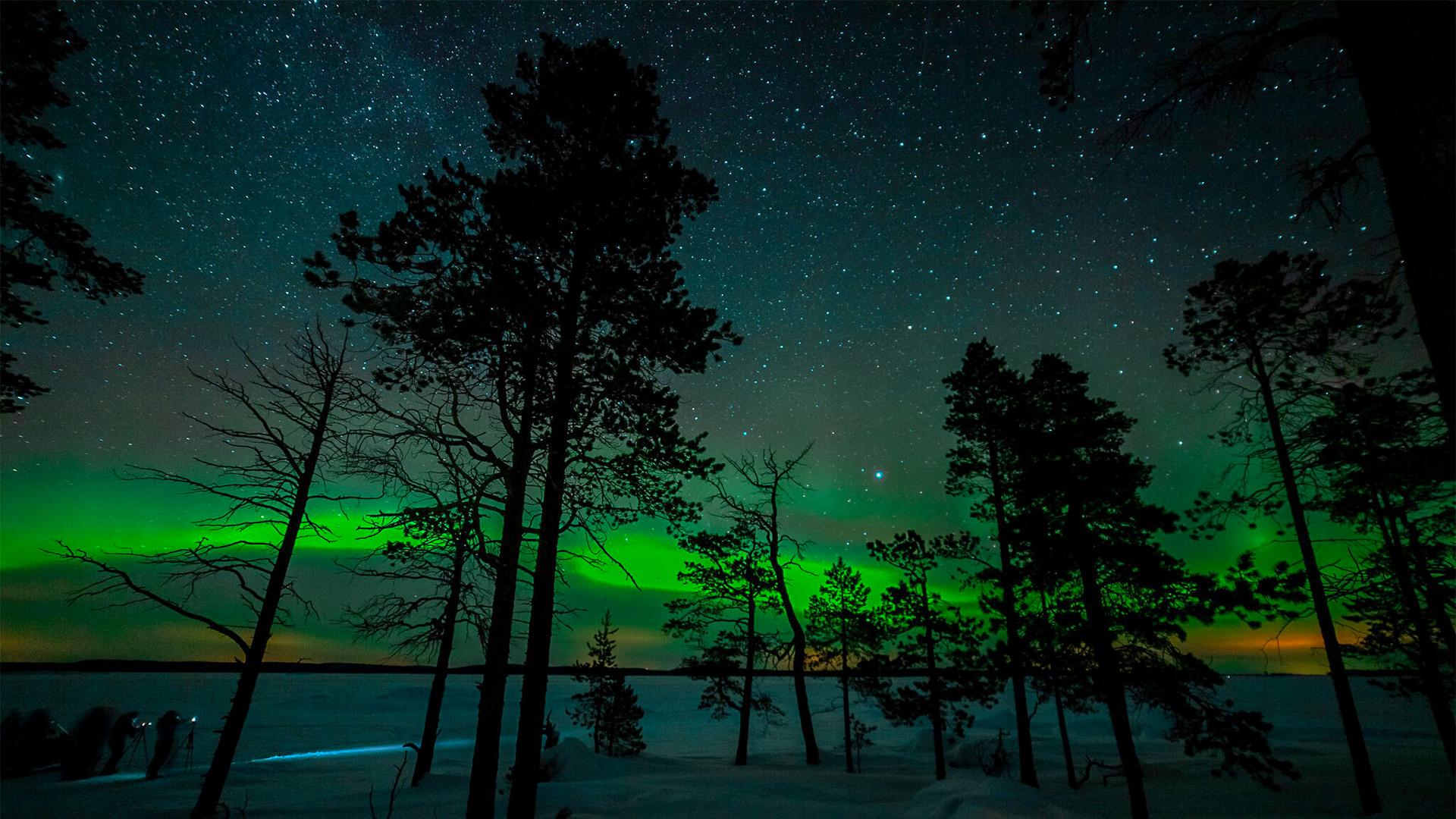 6 Tag(e) Polarlichterfahrt am See in Inari für 2 (5 Nächte) inkl. Halbpension Unkategorisiert online kaufen