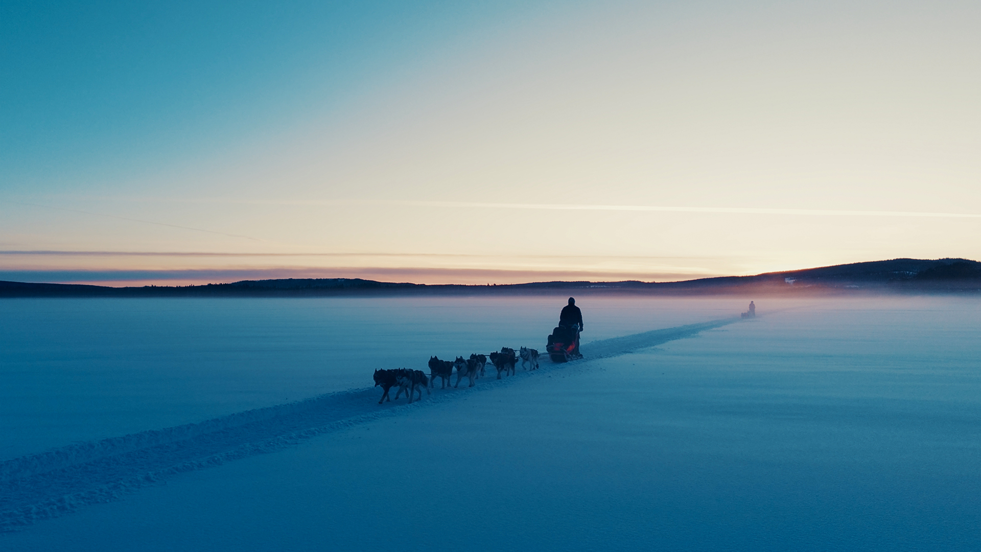 Abenteuerreise Lappland mit Hundeschlitten für 2 (2 Nächte) in Hoting inkl. All Inclusive Unkategorisiert online kaufen