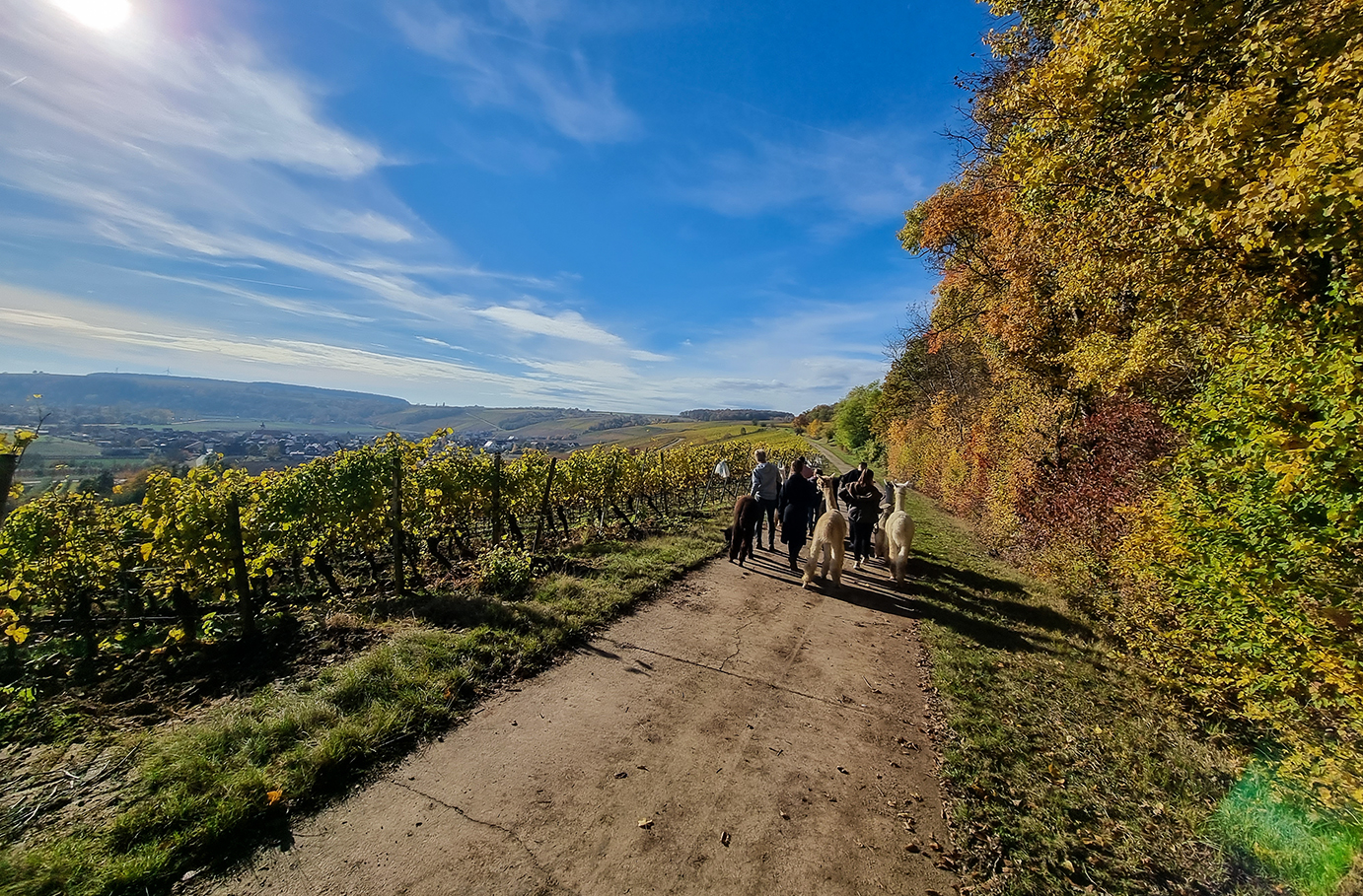 Kurzurlaub für bis zu 5 Personen Dipbach (2 Nächte) Unkategorisiert online kaufen Kurzurlaub für bis zu 5 Personen Dipbach (2 Nächte) Unkategorisiert online kaufen