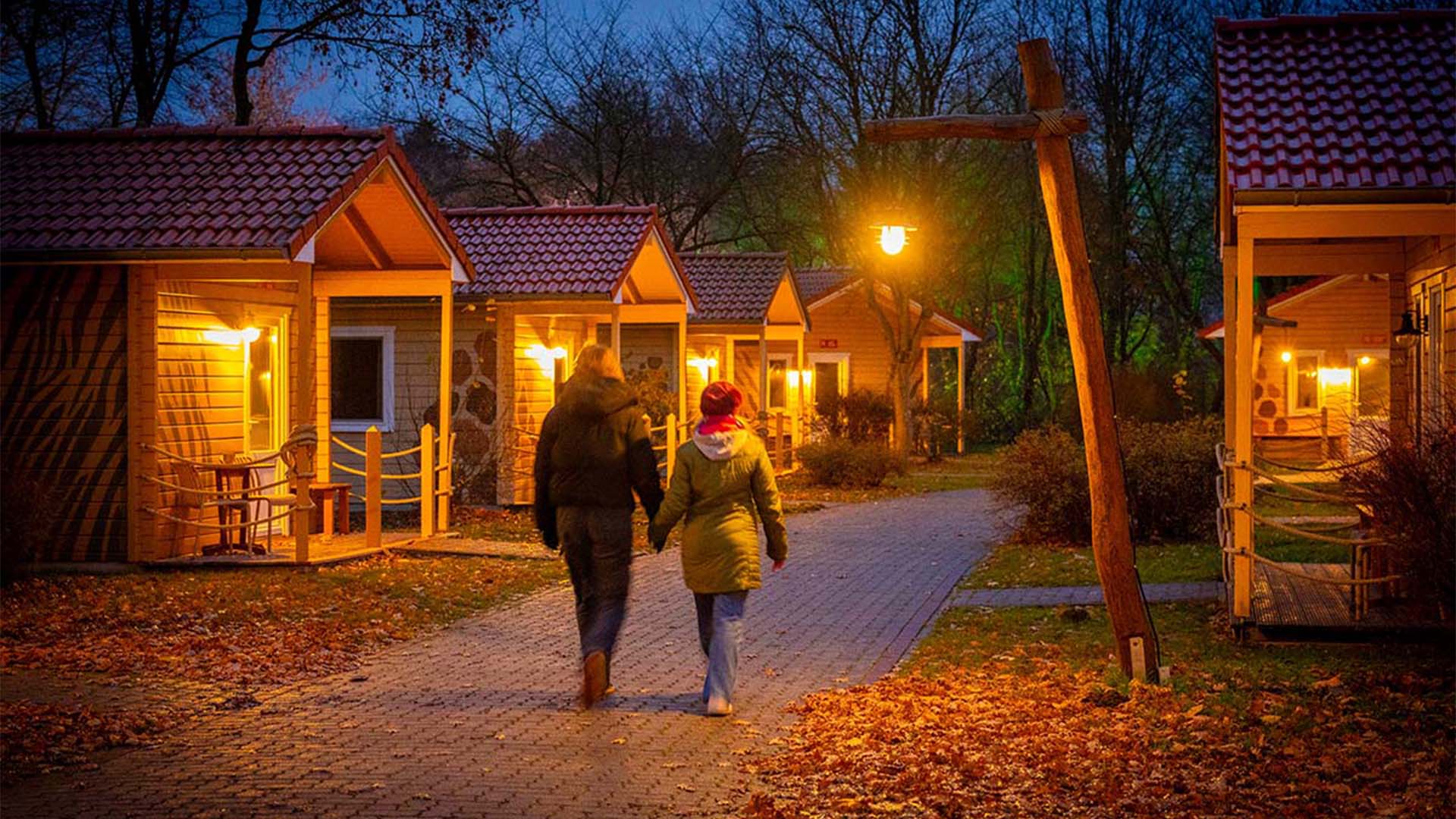Lichterfestival mit Übernachten im Serengeti-Park für 2 (1 Nacht) in Hodenhagen Unkategorisiert online kaufen