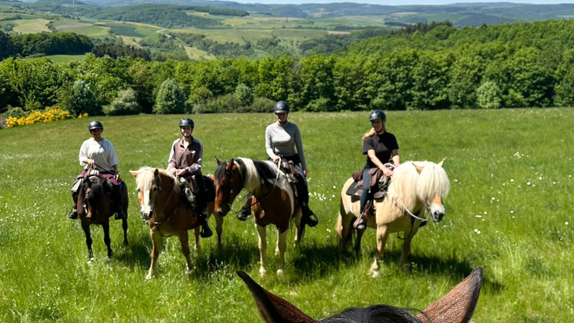 Reiten und Yoga mit Übernachtung Aschbach Unkategorisiert online kaufen
