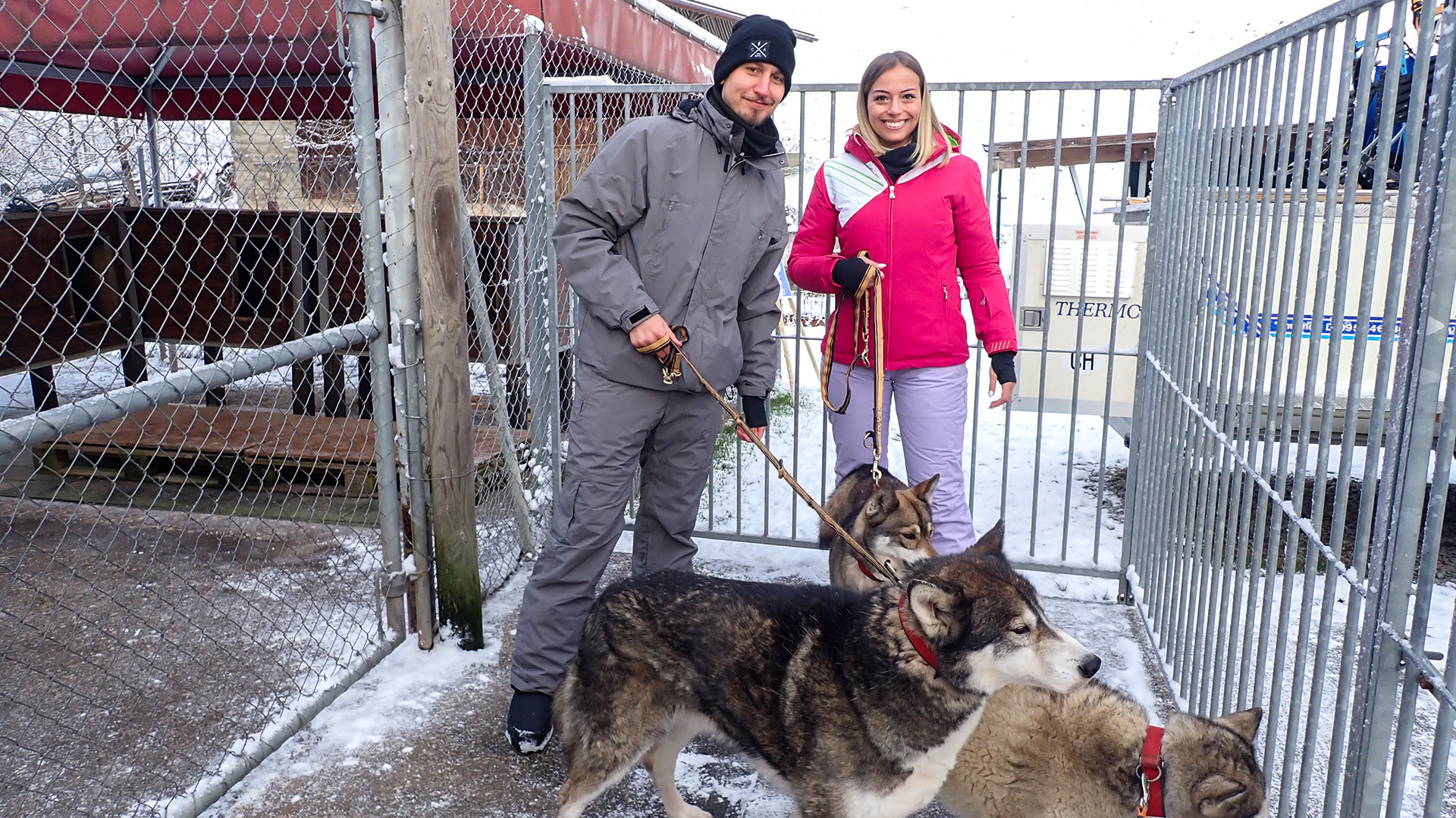 Schlittenhunde Abenteuer Ermenswil St. Gallen für 2 Unkategorisiert online kaufen Schlittenhunde Abenteuer Ermenswil St. Gallen für 2 Unkategorisiert online kaufen