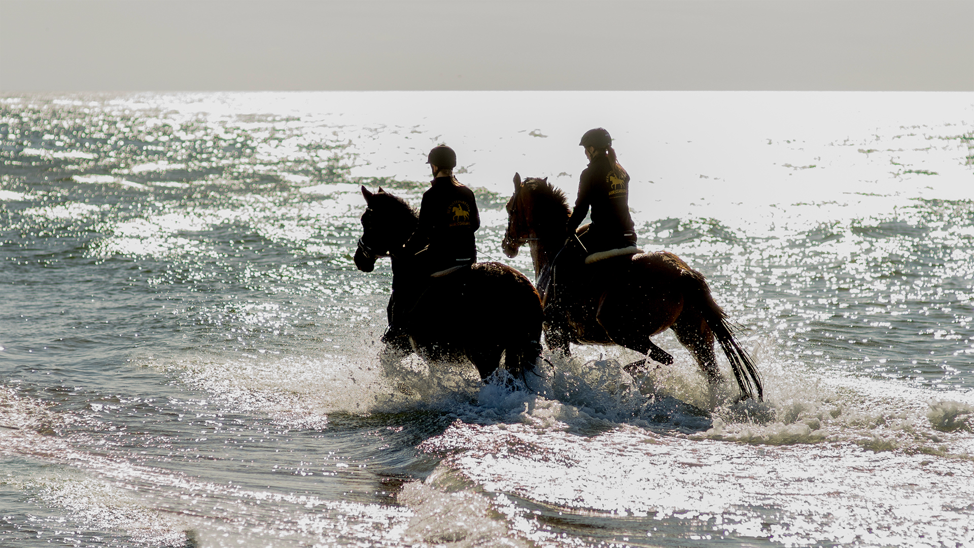 Strandritt Ostsee mit Probestunde Hirschburg (Okt. - Apr.) Unkategorisiert online kaufen Strandritt Ostsee mit Probestunde Hirschburg (Okt. - Apr.) Unkategorisiert online kaufen