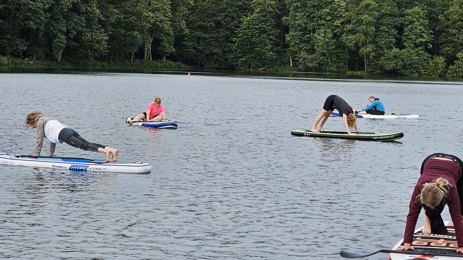 SUP Yoga für 2 Seck (Privatstunde) Unkategorisiert online kaufen