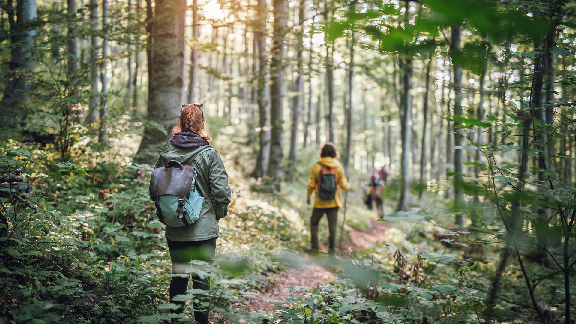Survival-Intensivkurs Dettmannsdorf (3 Tage) Unkategorisiert online kaufen