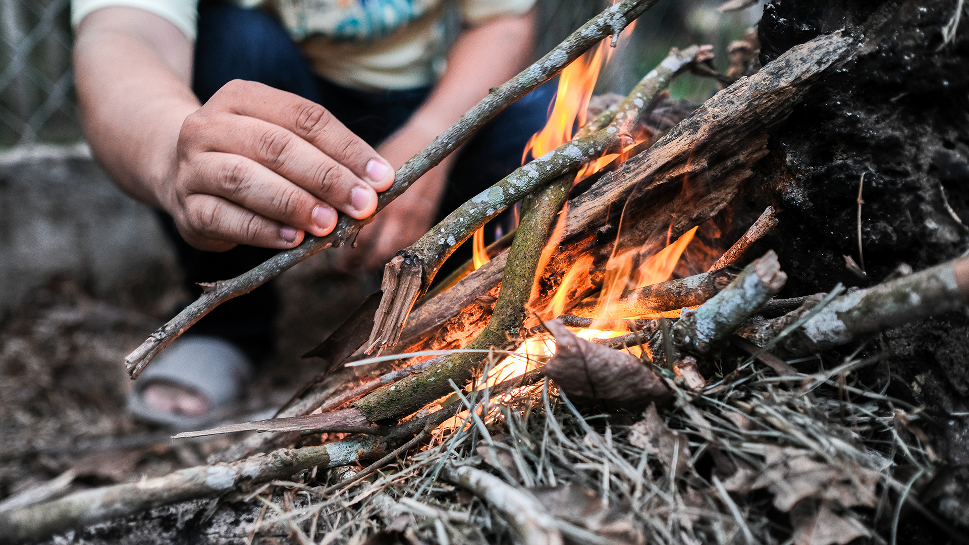 Survival Kurs Dettmannsdorf (Feuer und Schutz) Unkategorisiert online kaufen