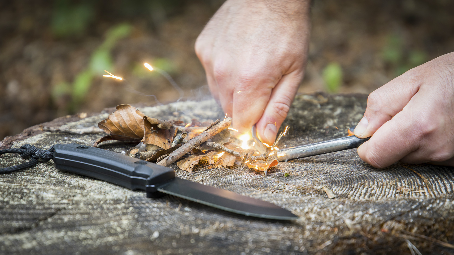 Survival Kurs Dettmannsdorf (Feuer und Schutz) Unkategorisiert online kaufen