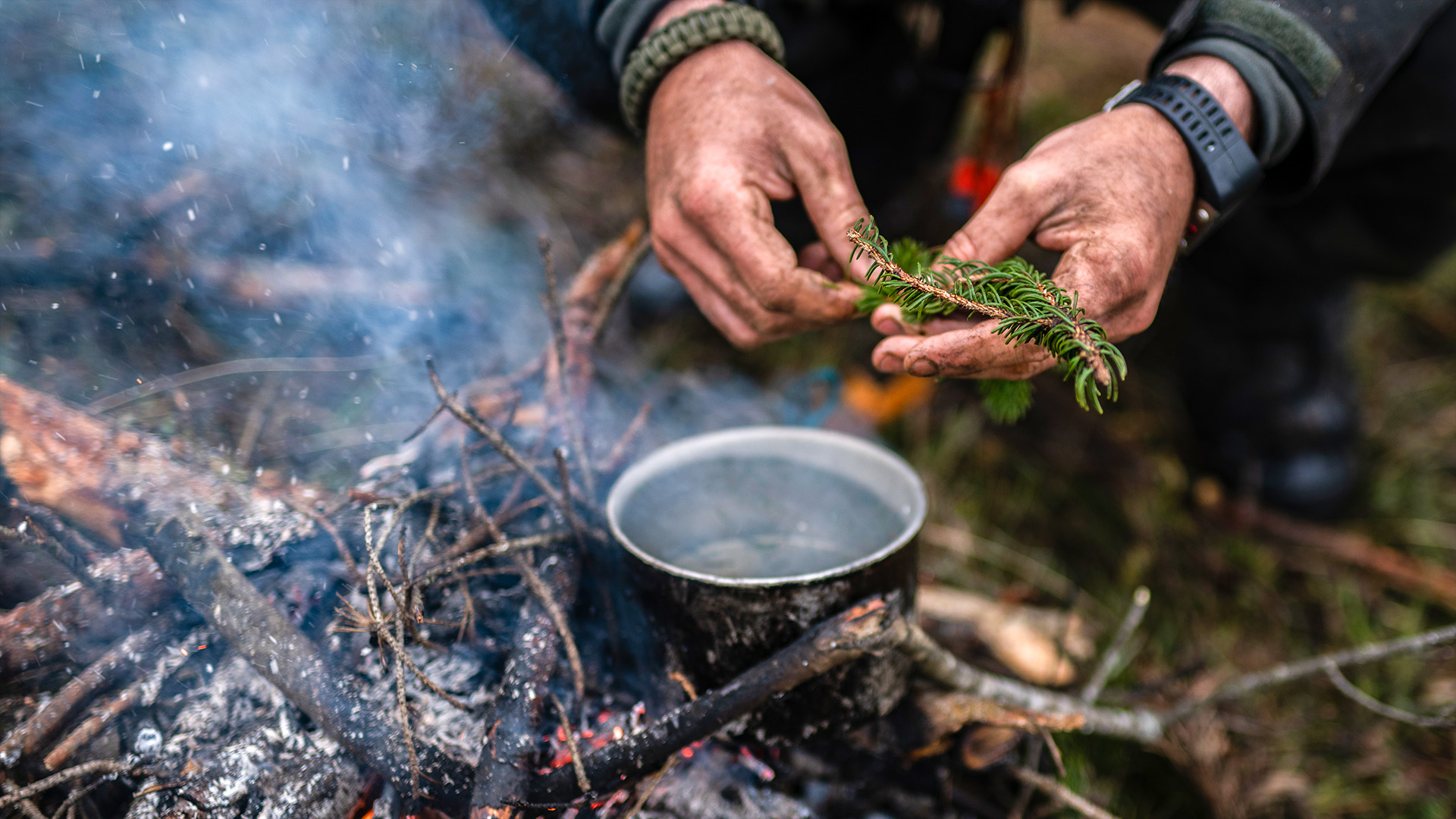 Survival Kurs Dettmannsdorf (Nahrung und Wasser) Unkategorisiert online kaufen