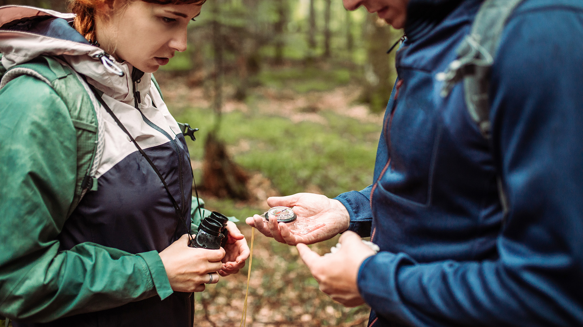 Survival Kurs Dettmannsdorf (Navigation und Orientierung) Unkategorisiert online kaufen