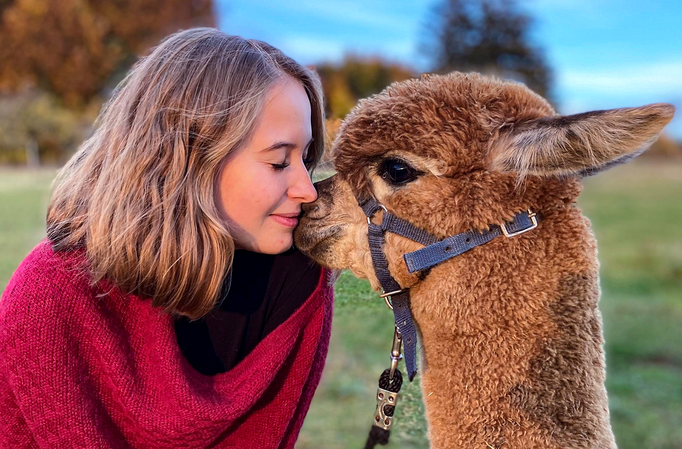 Übernachtung auf der Alpakafarm Affinghausen für 2 (1 Nacht) Unkategorisiert online kaufen Übernachtung auf der Alpakafarm Affinghausen für 2 (1 Nacht) Unkategorisiert online kaufen