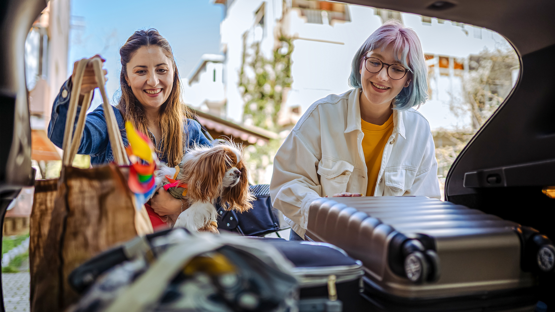 Urlaub mit Hund am Rennsteig für 2 (2 Nächte) in Großbreitenbach Unkategorisiert online kaufen Urlaub mit Hund am Rennsteig für 2 (2 Nächte) in Großbreitenbach Unkategorisiert online kaufen