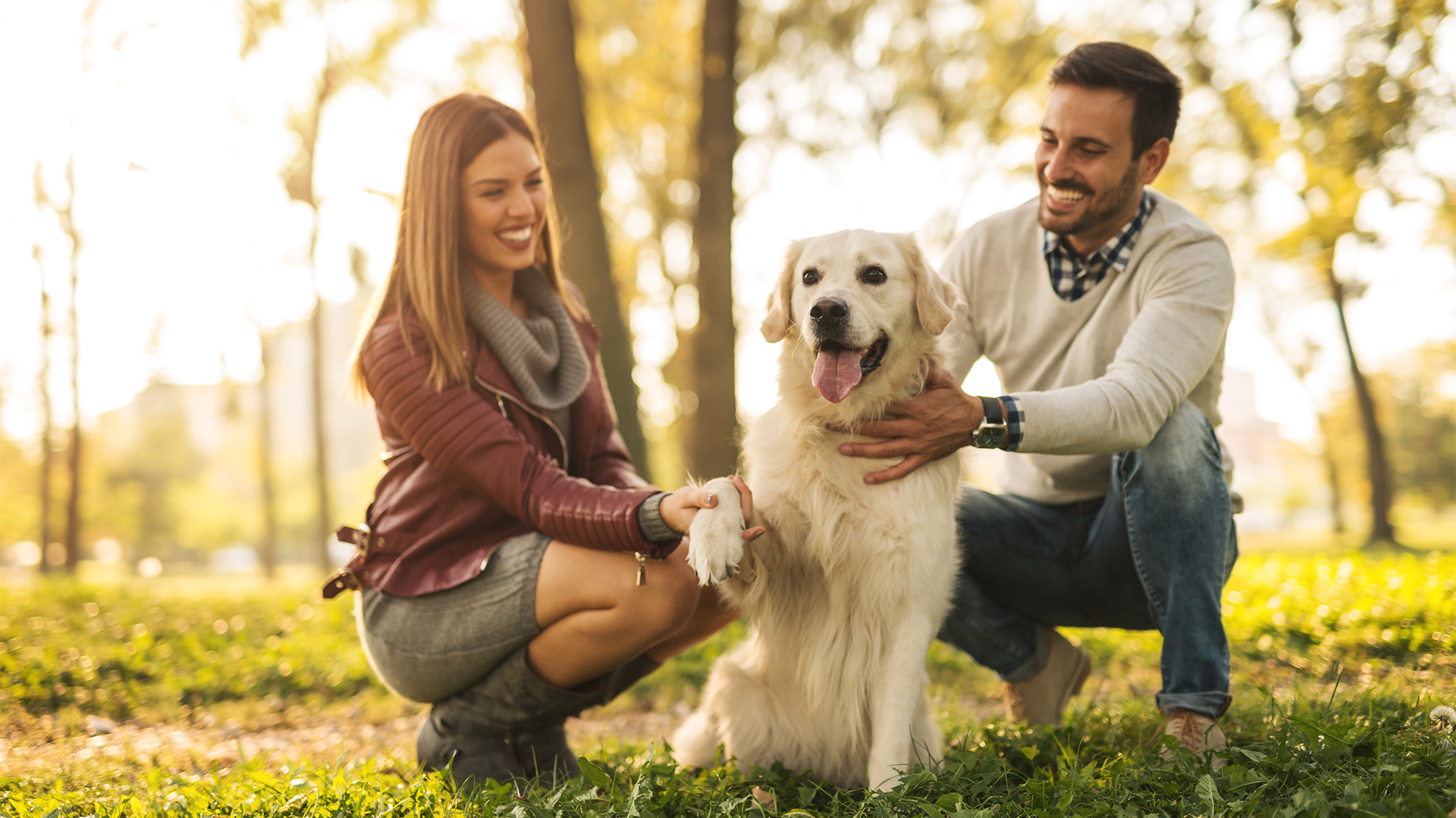 Urlaub mit Hund Lindberg für 2 (2 Nächte) inkl. Frühstück Unkategorisiert online kaufen