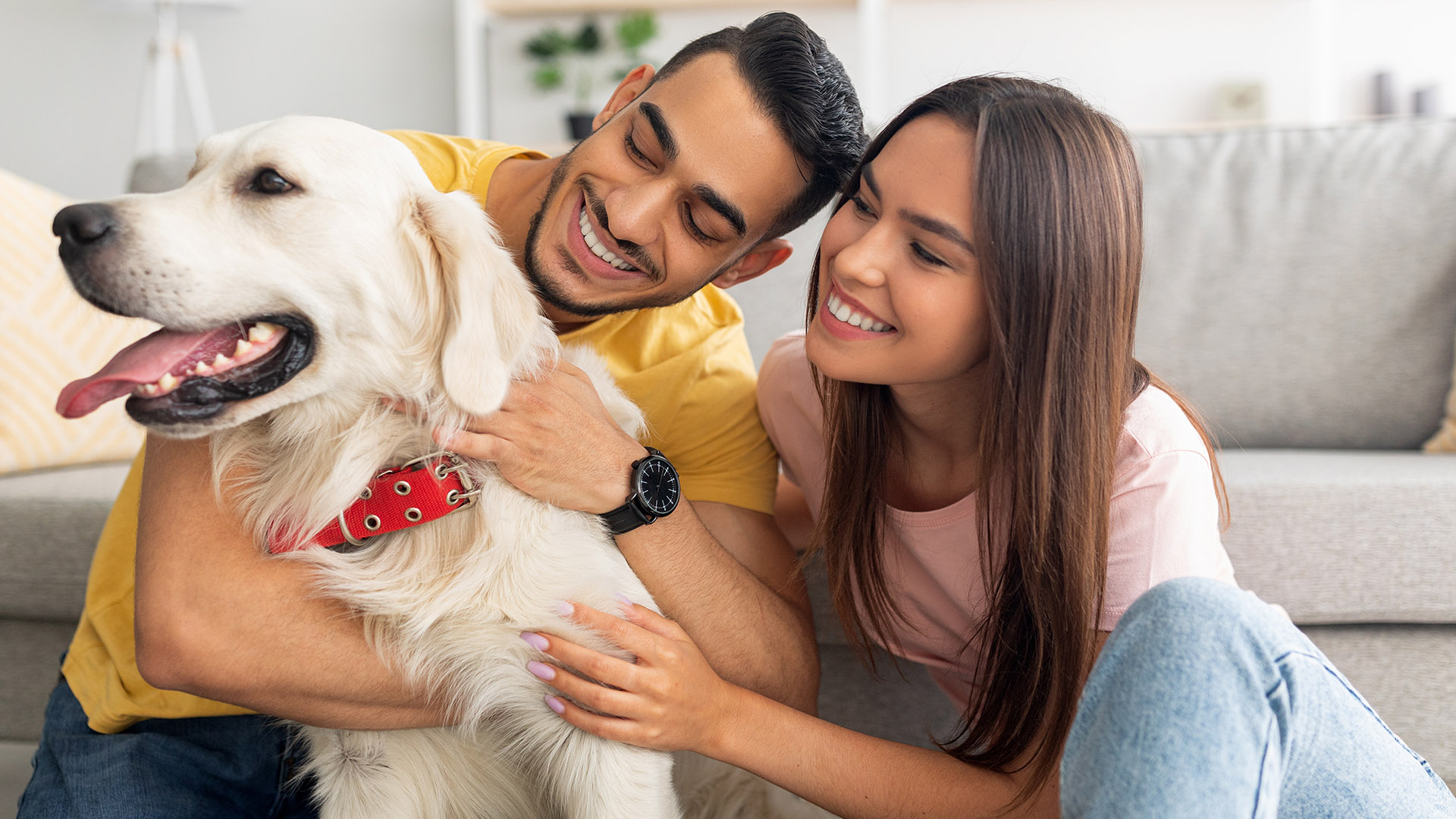 Urlaub mit Hund St. Oswald für 2 (2 Nächte) inkl. Frühstück Unkategorisiert online kaufen