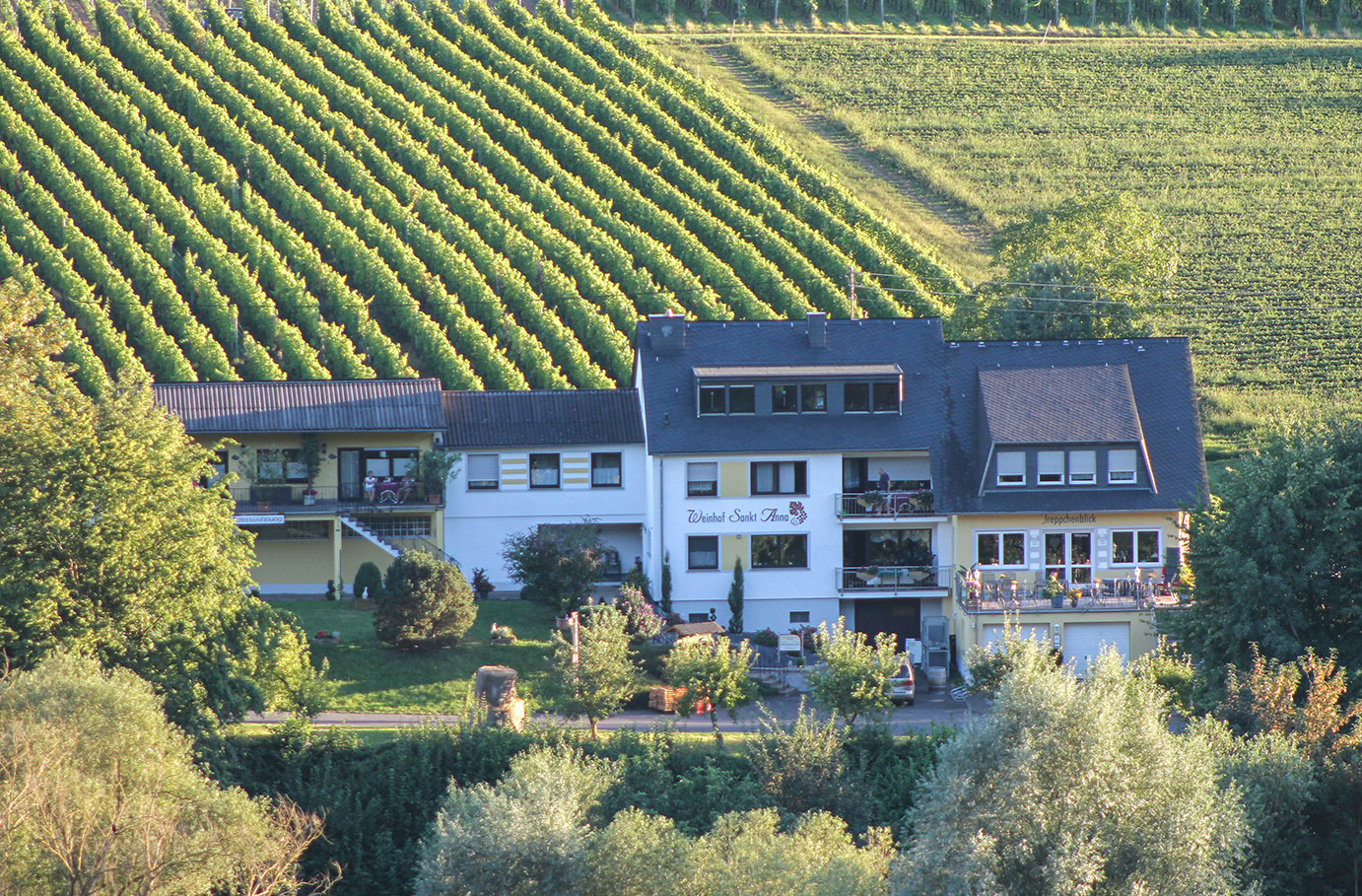 Weinreise an die Mosel für 2 (2 Nächte) in Erden Unkategorisiert online kaufen