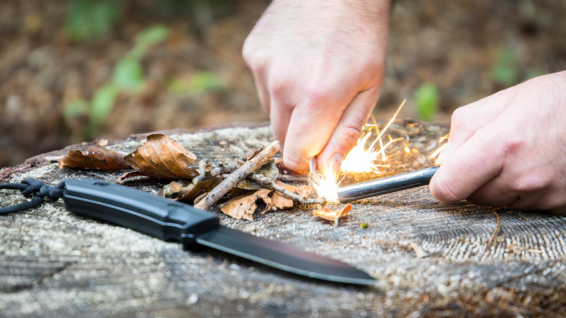 Wildnis JGA (2 Tage) Raum Bitburg-Prüm Unkategorisiert online kaufen