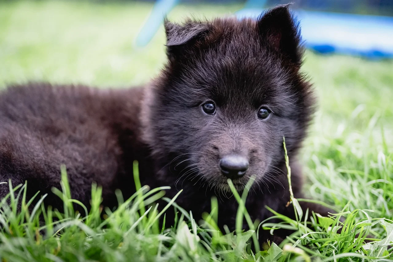 Aktiv im Outdoorbereich: Mit Hund und Co auf Tour